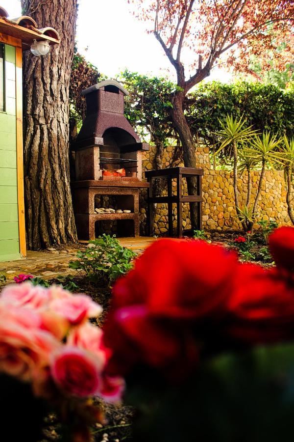 La Casa Di Nonno Giulio Bed & Breakfast Porto Sant'Elpidio Luaran gambar